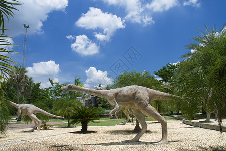 PhuWiang恐龙博物馆Kao区图片