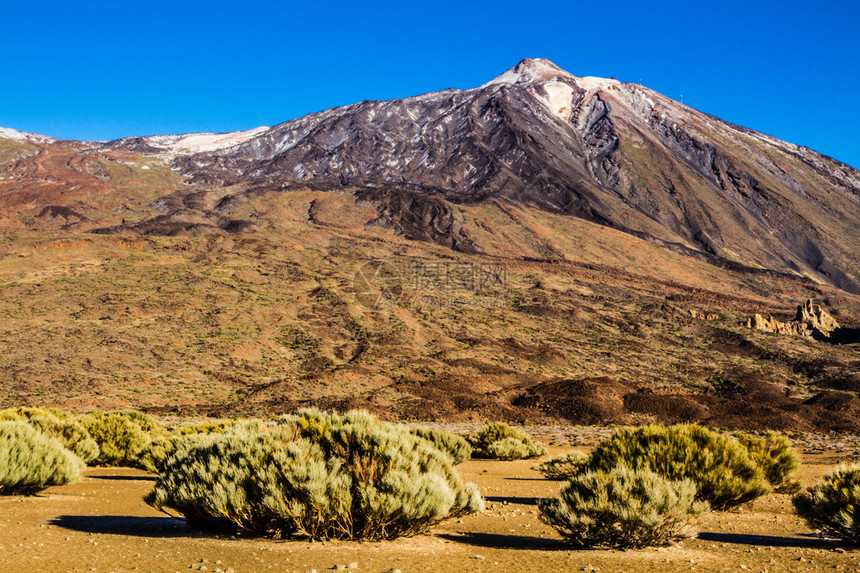 ElTeide火山与小熔岩地层和灌木西班牙加那利群图片