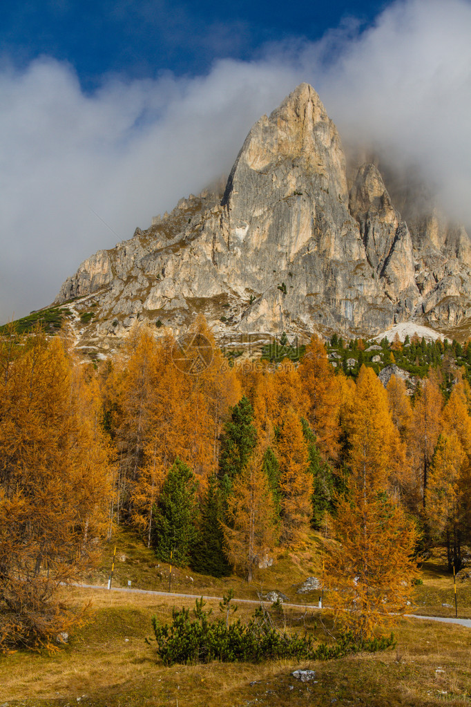 意大利南蒂罗尔州帕索法扎雷戈岛与Dolomites在后座和Meadows图片