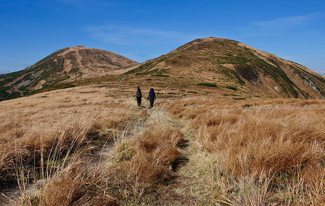 山中的旅行者喀尔巴阡山脉的秋季徒步旅行图片