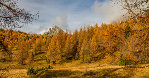 白云石山与五颜六色的秋天森林白图片