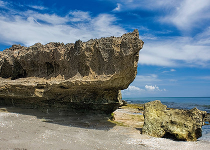 这些岩石实际上是在佛罗里达海岸形成活珊瑚礁的低矮丘陵结构图片