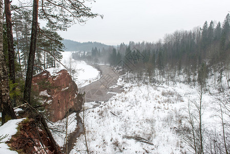 冬季雪冬季森林景观图片