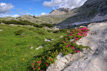 美丽的意大利阿尔卑斯山风景图片
