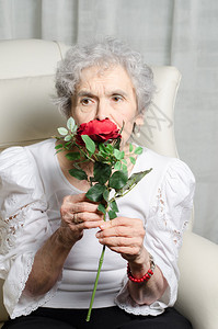 老妇人闻玫瑰背景图片