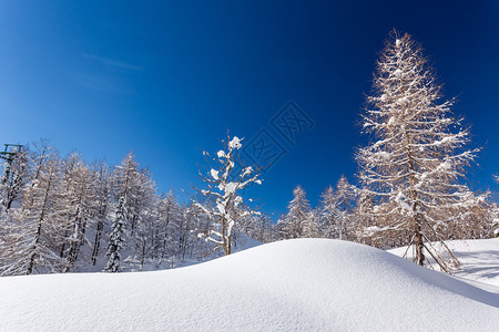 斯洛文尼亚JulianAlps山的Vogel滑雪中心附图片