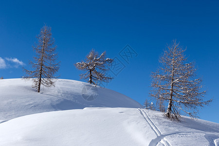 斯洛文尼亚JulianAlps山的Vogel滑雪中心附图片