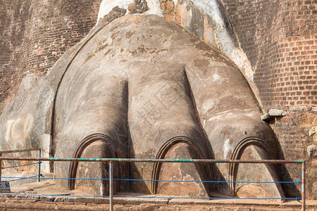 著名的狮子爪位于锡吉里亚岩石顶部的古宫殿入口处图片