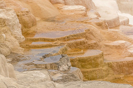 黄石公园猛犸温泉上部的石灰露台图片