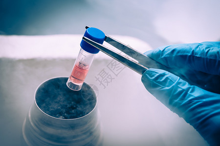 科学家与干细胞悬浮在液体氮银行工作图片
