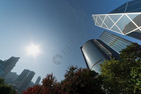 香港城市的天线白天有树木在中图片