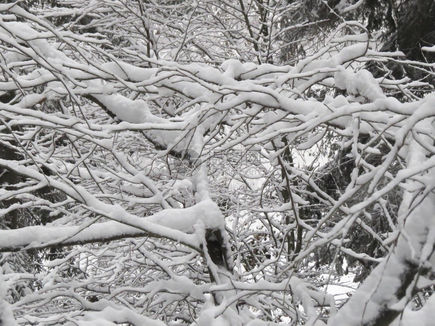 山上新雪的景色图片