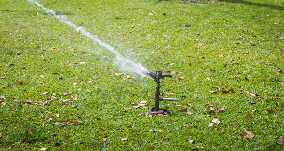 花园自动洒水器浇水图片