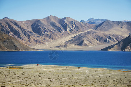 印度PangongLehLadakh湖2图片