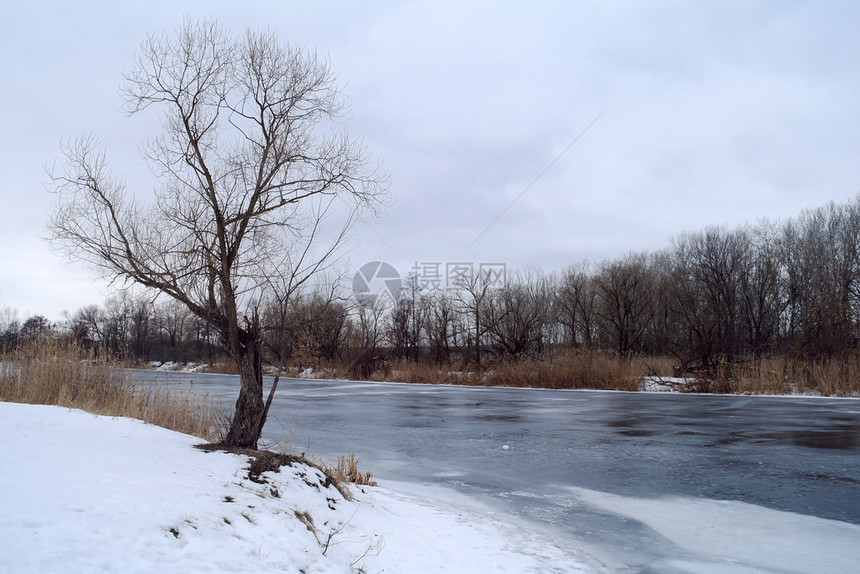 河的冬季图片