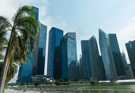 新加坡城市天际线中的建筑物图片