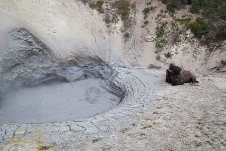 一座火山泥浆热水池图片