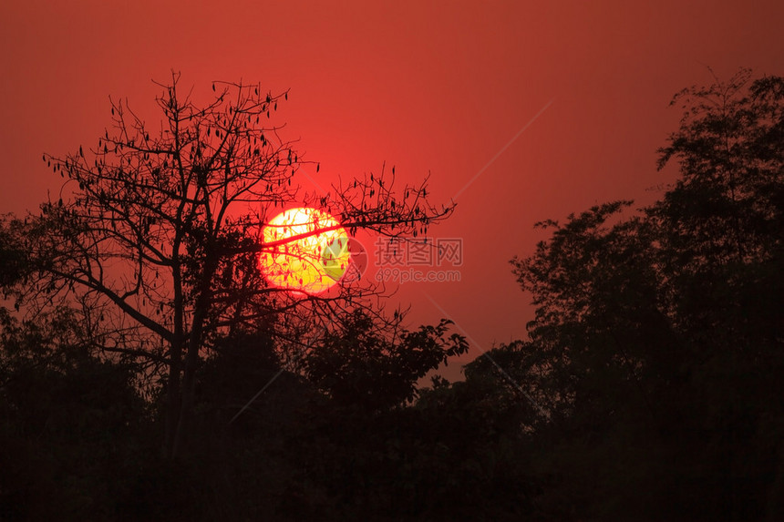 太阳照图片