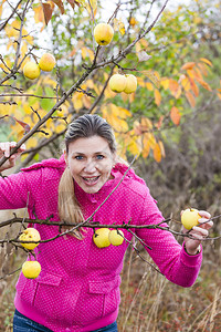 秋天苹果树的女人图片