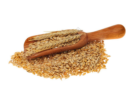 大麦的粒和被一只木图片
