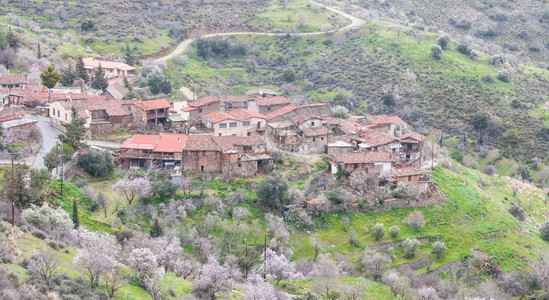 塞浦路斯Troodos山的尼科西亚区Lazania山区村庄图片