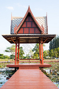 泰国沼泽或池塘中带有莲花和绿叶图片