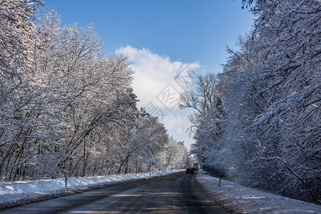 带汽车的冬天通往雪林的道路图片