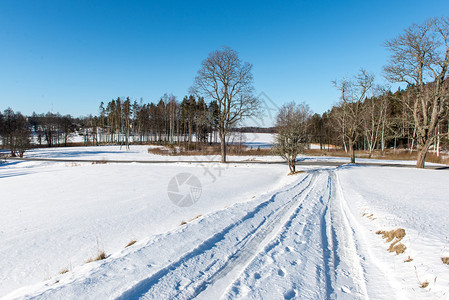 有太阳光线和树木的冰冷冬季道路图片
