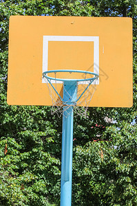 黄色篮球后板公图片