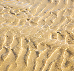 非洲棕褐色海岸线的摩莫罗可亚特兰海图片