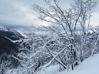 冬款上新山上新雪的景色背景