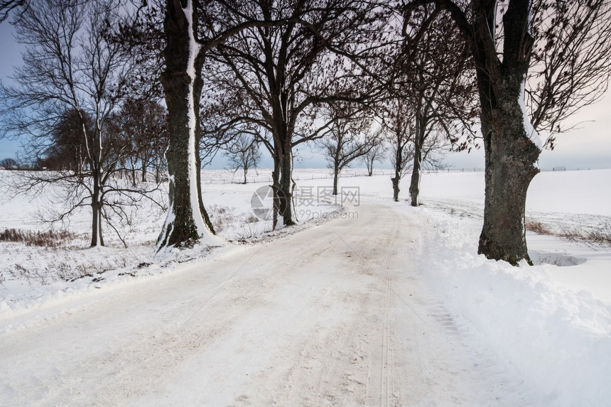雪覆盖的乡村柏油路图片
