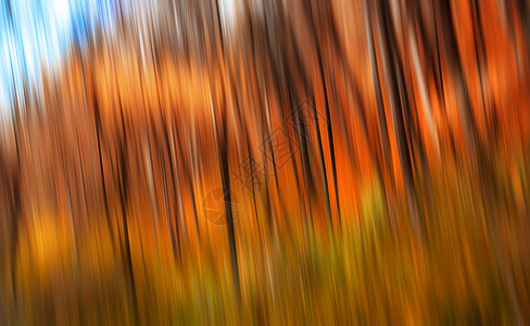 自然背景摘要秋季森林树木图象有意运动模糊图片