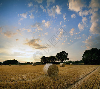 美丽的夏日夕阳景色横图片