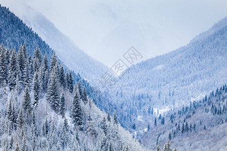 高山谷格鲁吉亚高加索含雪覆图片