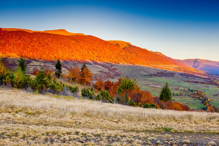 早晨天空下的梦幻般的阳光山丘戏剧风景秋天的红叶喀尔巴阡图片