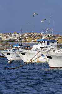 意大利西里卡波佩塞罗港木钓渔图片