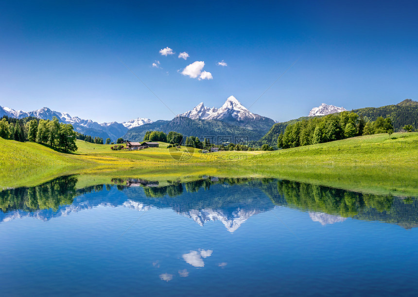 田园诗般的夏日风景与清除在阿尔卑斯山的高山湖泊图片