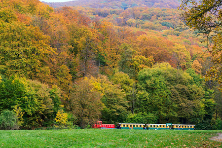 匈牙利多彩的秋天森林图片