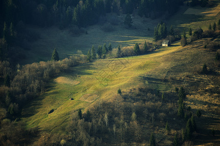春天的山坡喀尔巴阡山脉图片
