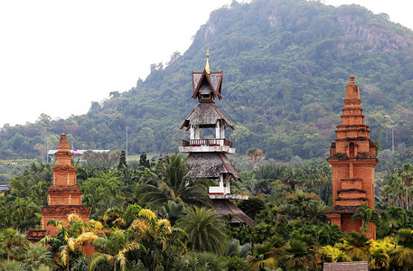 泰国丛林中的佛背景图片