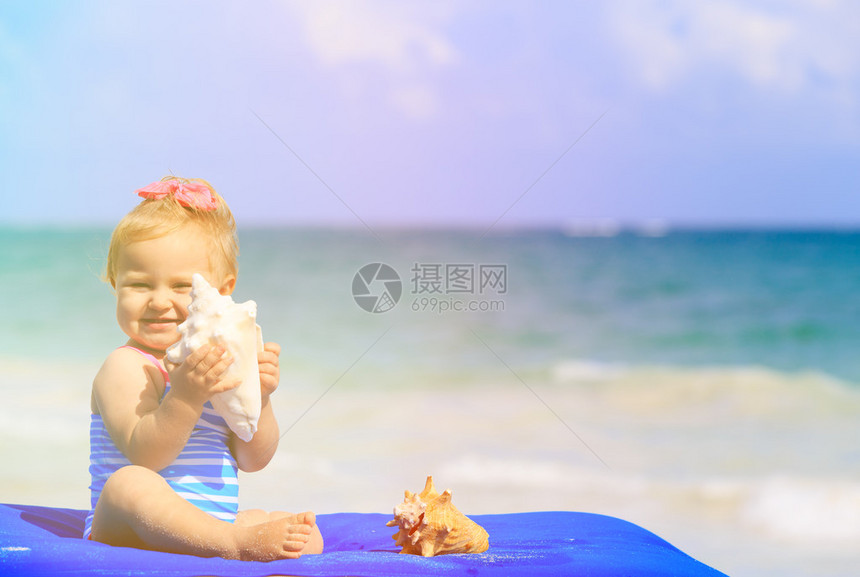 夏天沙滩上带贝壳图片