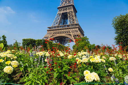 法国巴黎的埃菲尔铁塔在图片