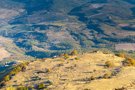 阳光明媚的高原和克里米亚的绿色沃土图片