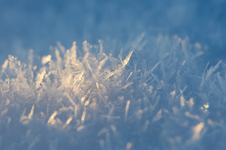 积雪细的滑雪在光亮中背景图片