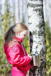 小女孩在树林里收集桦树汁图片