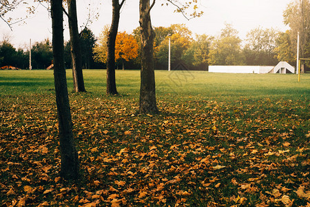 城市公园的秋天公园图片