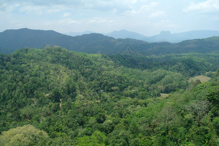斯里兰卡风景图片