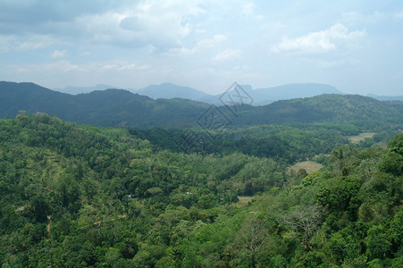 斯里兰卡风景图片