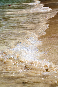 沙滩Thailandkhotao湾海岸线和南中华州南图片